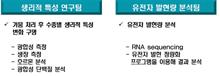 조림 수종의 내건성 증진을 위한 양묘연구