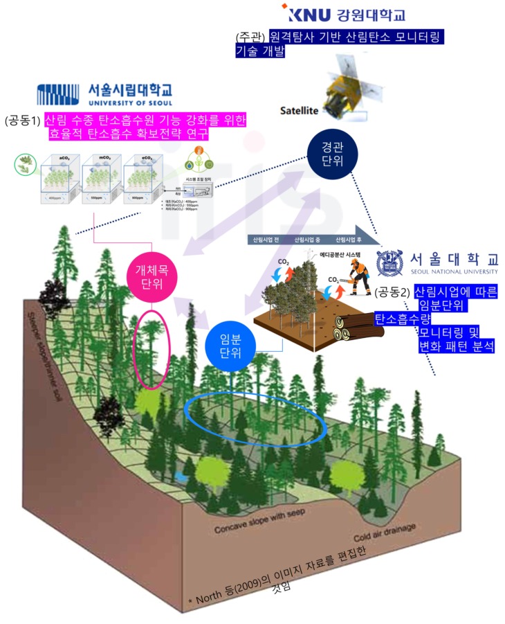 산림탄소 흡수·저장 기능 증진을 위한 임분과 경관 수준의 산림 관리 기술 개발