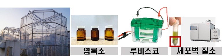 질소분배